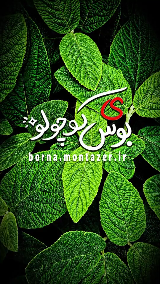 ی بوس کوچولو