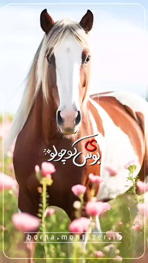 باکلاس و اصیل!
