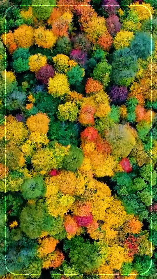 دنیای مدادرنگی‌ها