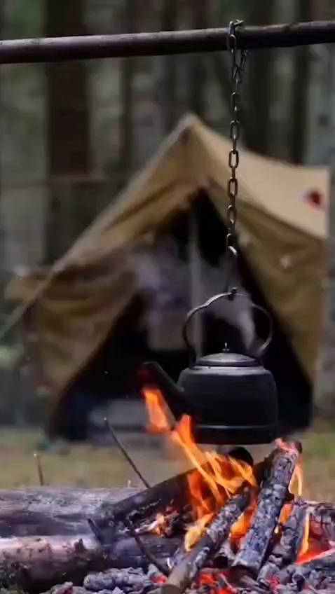 قصه شاخه‌ها