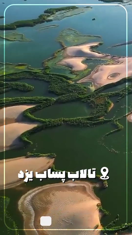 یزد سرسبز!