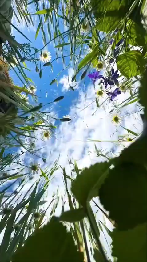 دنیای بیکران تو!