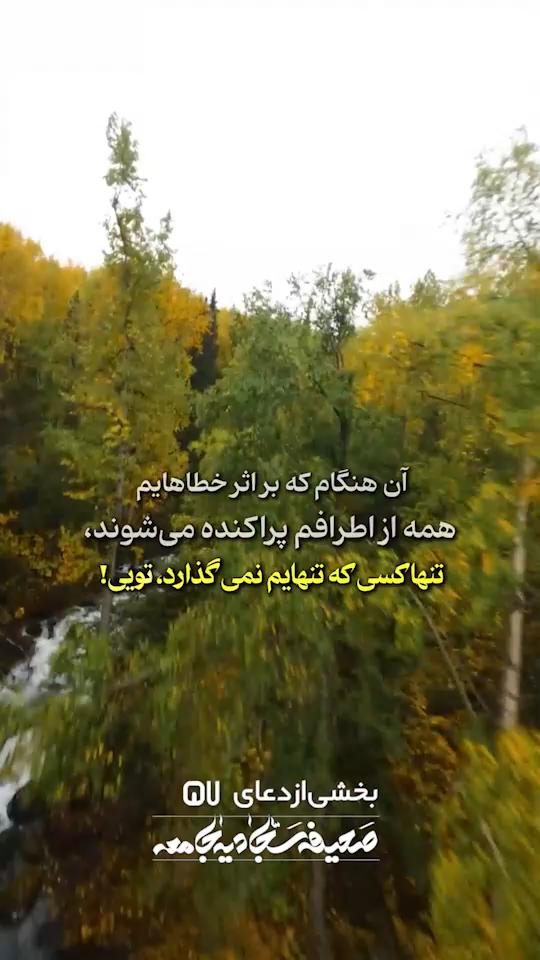 فقط تو میمونی ❣️