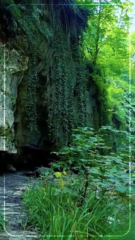 یه جای جادویی!