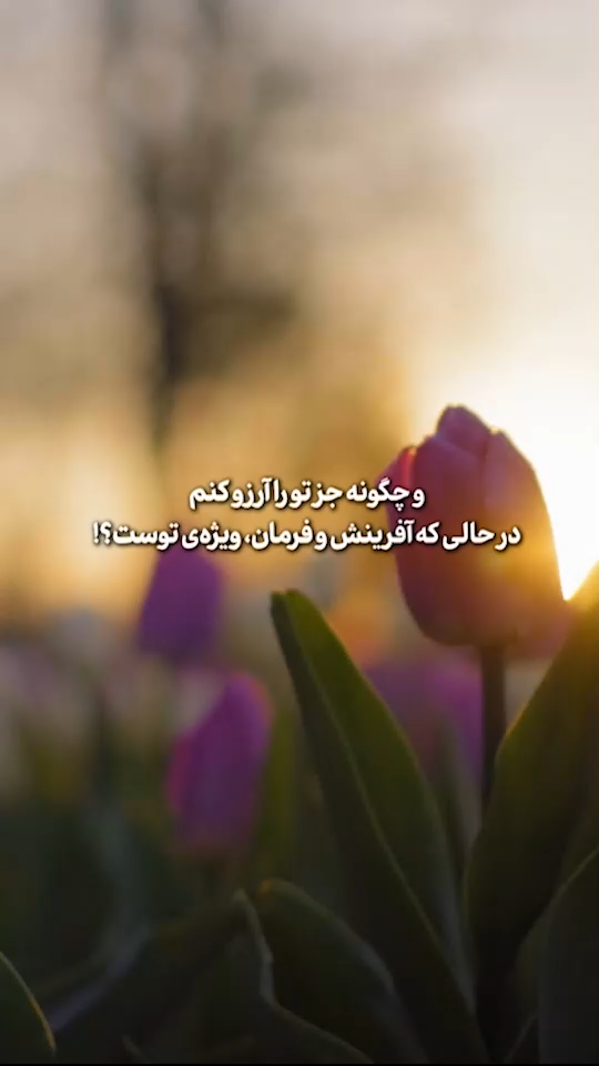 خزانه خوبی‌ها🌟