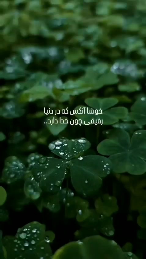 خوش‌به‌حالت🍃