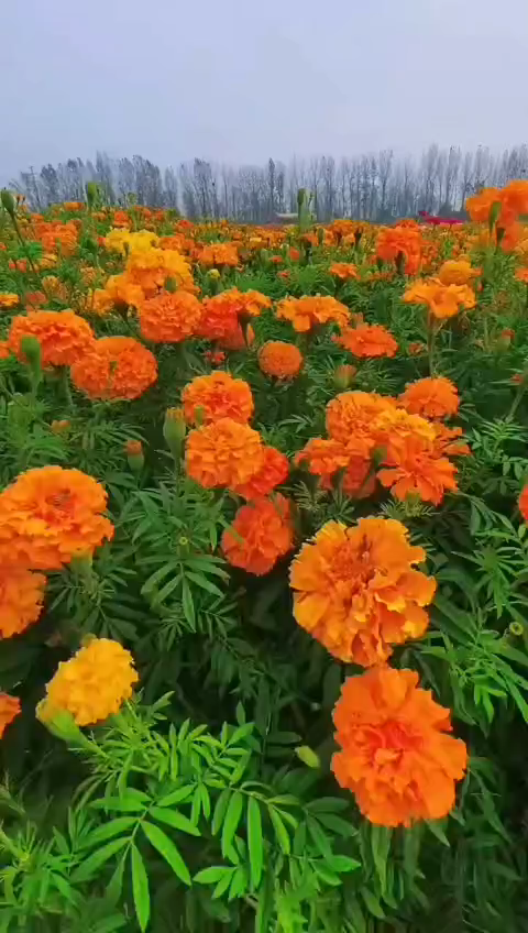 سختیش می‌ارزه🌟