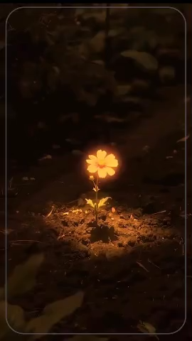 محکم باش!