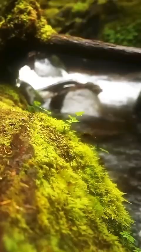 صدای آب